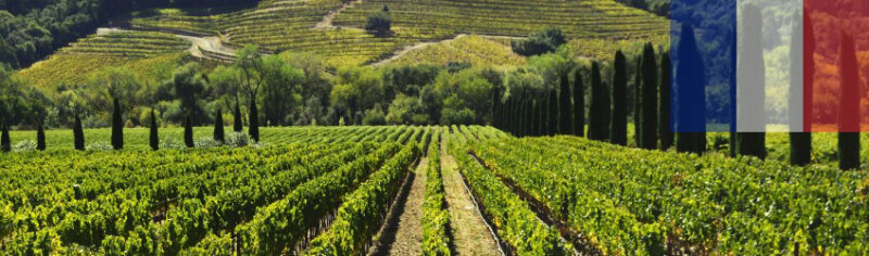  Frankreich ist die Grande Nation des Weins!...