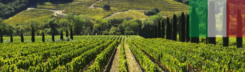  Italien gilt neben Frankreich als das Weinland...