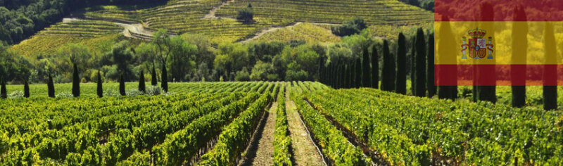  Spanien ist der st&auml;rkste Weinexporteur...
