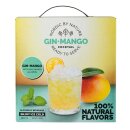 Nordic by Nature Gin-Mango 11,5% 1,5L